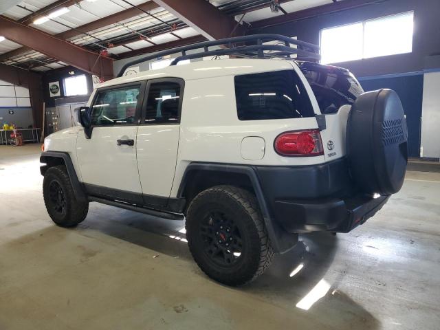 Photo 1 VIN: JTEBU4BF3AK092809 - TOYOTA FJ CRUISER 