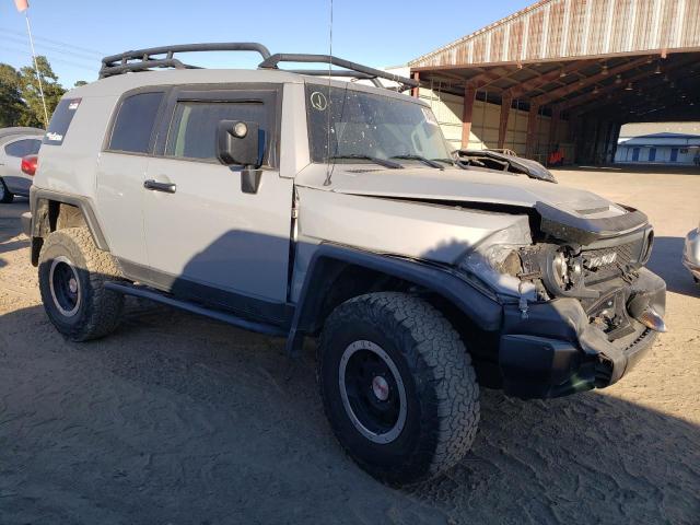 Photo 3 VIN: JTEBU4BF6DK162839 - TOYOTA FJ CRUISER 