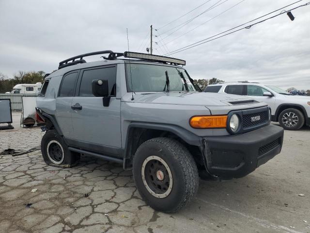 Photo 3 VIN: JTEBU4BF7DK157505 - TOYOTA FJ CRUISER 