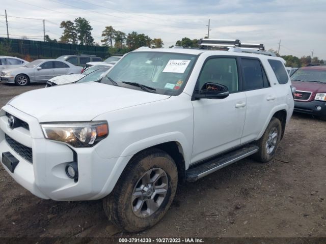 Photo 1 VIN: JTEBU5JR1F5233903 - TOYOTA 4RUNNER 