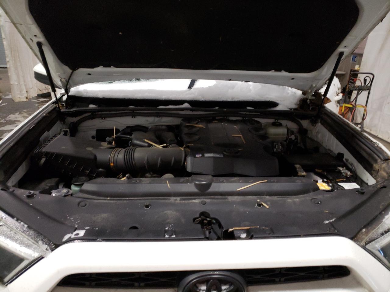 Photo 11 VIN: JTEBU5JR4H5446850 - TOYOTA 4RUNNER 