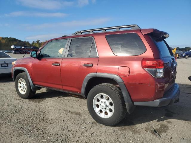 Photo 1 VIN: JTEBU5JR6A5025248 - TOYOTA 4RUNNER SR 