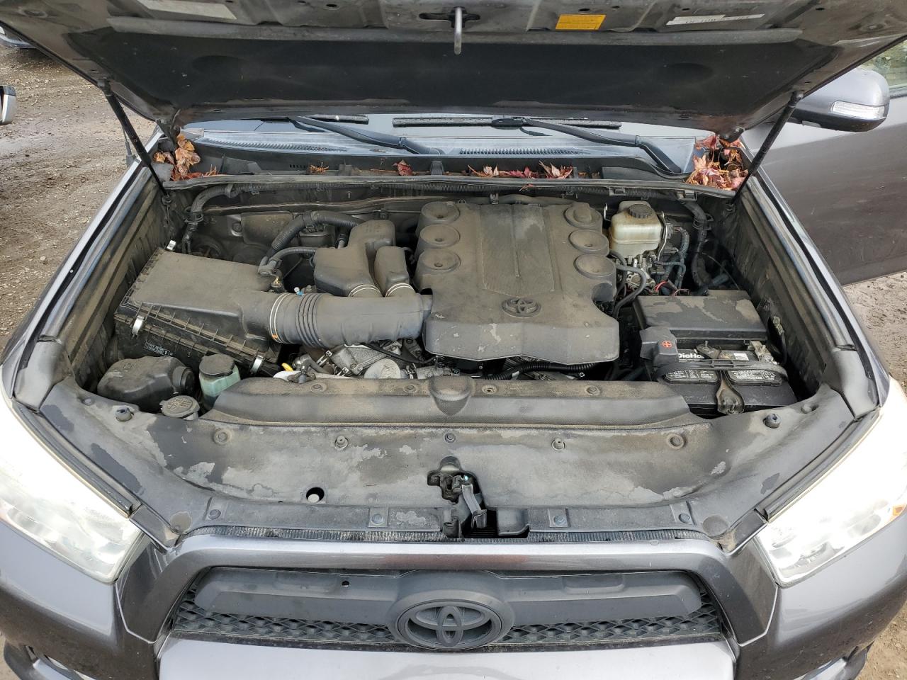 Photo 10 VIN: JTEBU5JR6D5138329 - TOYOTA 4RUNNER 