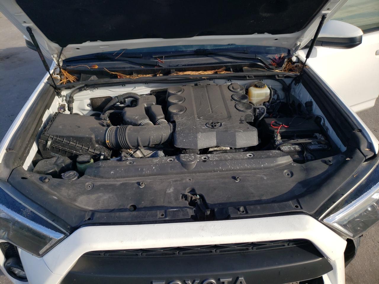 Photo 10 VIN: JTEBU5JR8G5336656 - TOYOTA 4RUNNER 