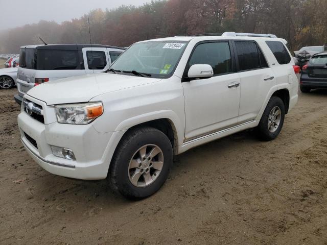 Photo 0 VIN: JTEBU5JR9B5037704 - TOYOTA 4 RUNNER 