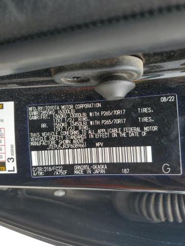 Photo 12 VIN: JTEPU5JR3P6089661 - TOYOTA 4RUNNER SE 