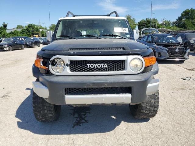 Photo 4 VIN: JTEZU4BF0AK009979 - TOYOTA FJ CRUISER 