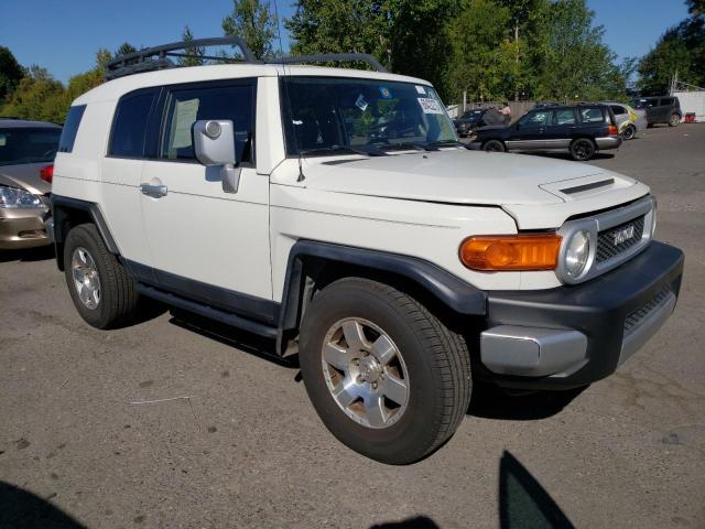 Photo 3 VIN: JTEZU4BF1AK009876 - TOYOTA FJ CRUISER 