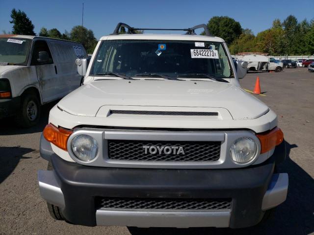 Photo 4 VIN: JTEZU4BF1AK009876 - TOYOTA FJ CRUISER 