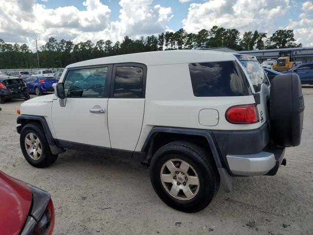 Photo 1 VIN: JTEZU4BF5AK009217 - TOYOTA FJ CRUISER 