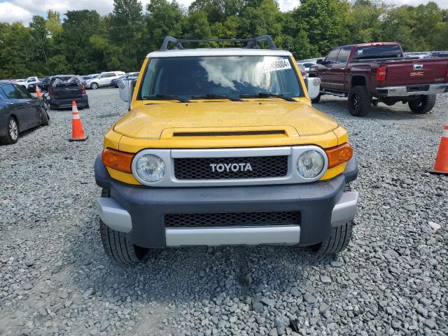 Photo 4 VIN: JTEZU4BF8AK009079 - TOYOTA FJ CRUISER 