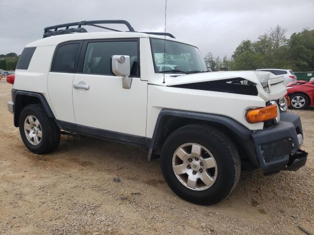 Photo 3 VIN: JTEZU4BFXAK010623 - TOYOTA FJ CRUISER 