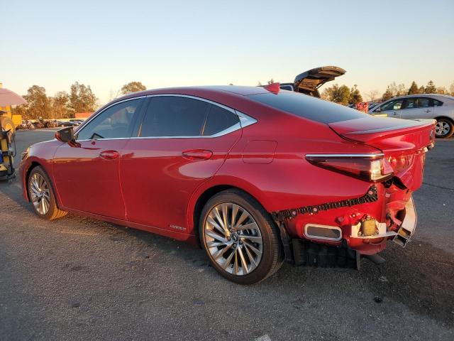 Photo 1 VIN: JTHB21B10K2042043 - LEXUS ES300 