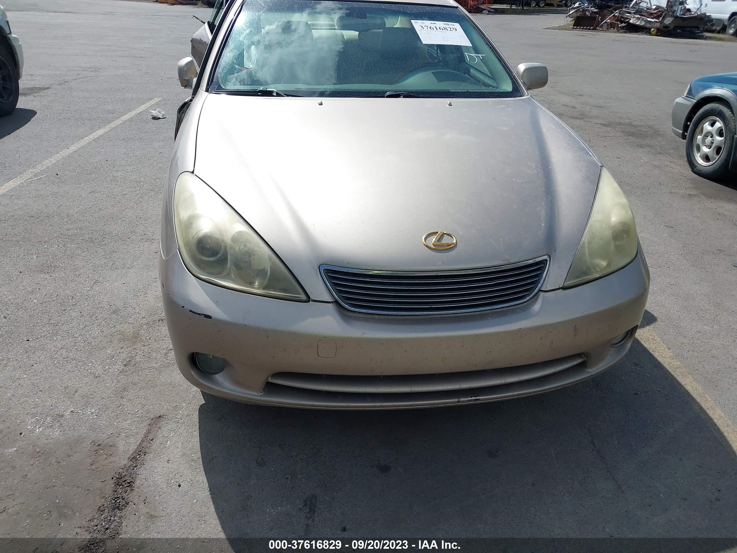 Photo 10 VIN: JTHBA30G065166968 - LEXUS ES 