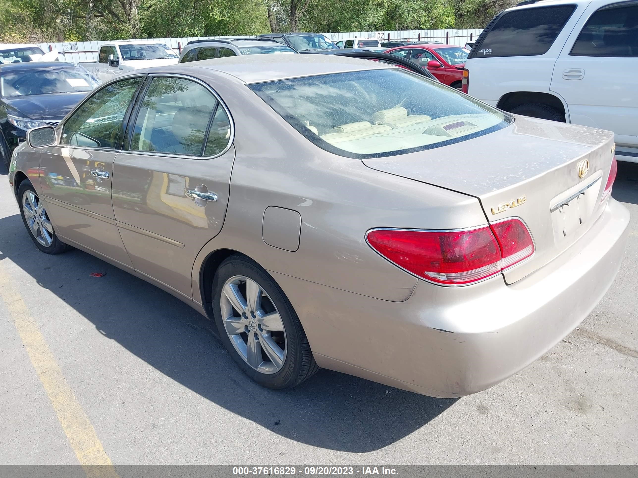 Photo 2 VIN: JTHBA30G065166968 - LEXUS ES 