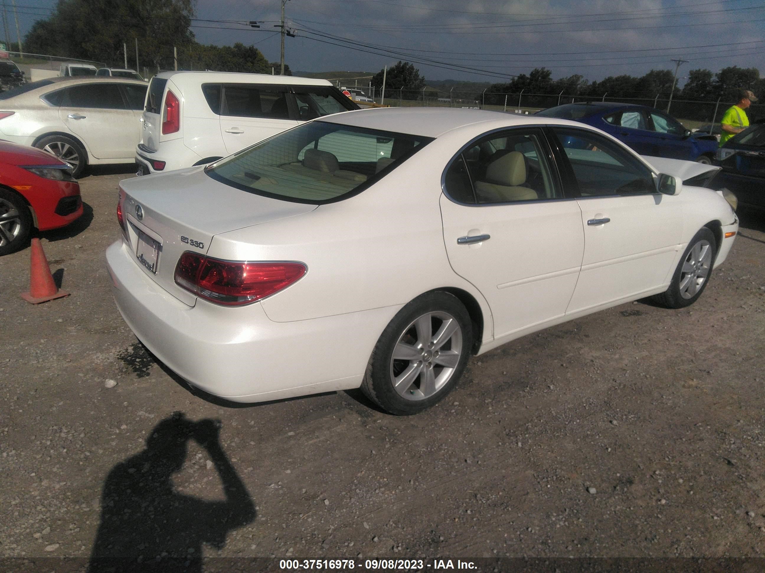 Photo 3 VIN: JTHBA30G765173903 - LEXUS ES 