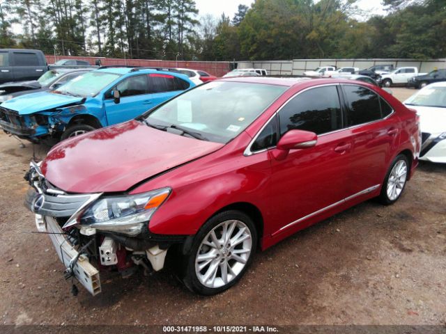 Photo 1 VIN: JTHBB1BA0A2008683 - LEXUS HS 250H 