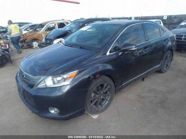 Photo 1 VIN: JTHBB1BA0A2027427 - LEXUS HS 250H 