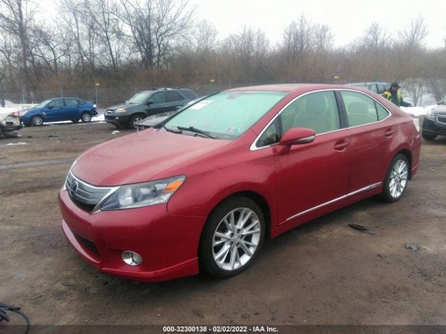 Photo 1 VIN: JTHBB1BA1A2001094 - LEXUS HS 250H 