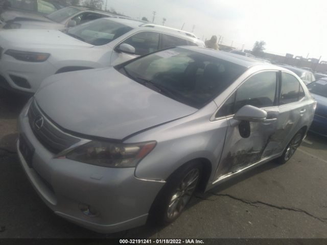 Photo 1 VIN: JTHBB1BA1A2002021 - LEXUS HS 250H 