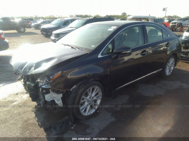 Photo 1 VIN: JTHBB1BA1A2008420 - LEXUS HS 250H 