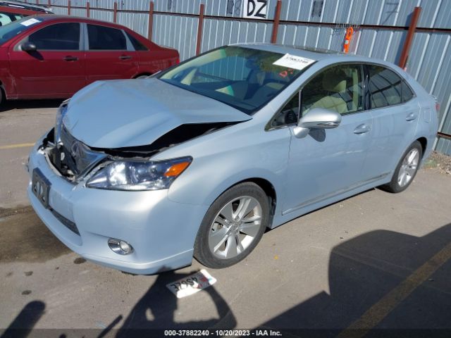 Photo 1 VIN: JTHBB1BA1A2010426 - LEXUS HS 250H 