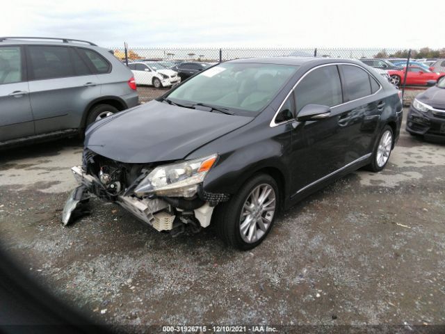 Photo 1 VIN: JTHBB1BA1A2019191 - LEXUS HS 250H 