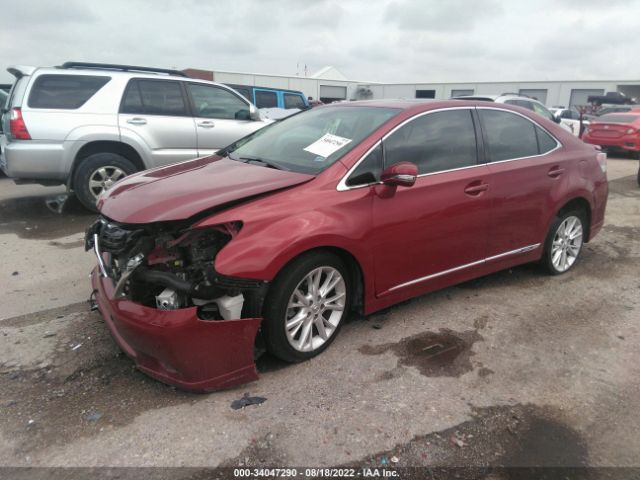 Photo 1 VIN: JTHBB1BA1A2021622 - LEXUS HS 250H 