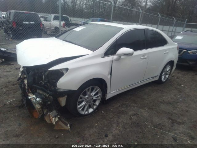 Photo 1 VIN: JTHBB1BA1A2026450 - LEXUS HS 250H 