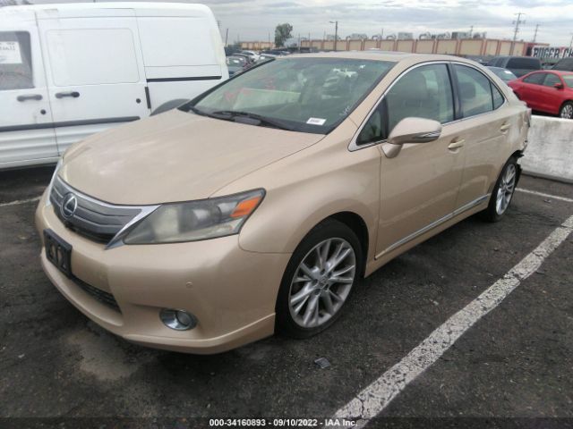 Photo 1 VIN: JTHBB1BA1A2028067 - LEXUS HS 250H 