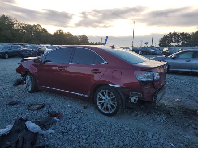 Photo 1 VIN: JTHBB1BA1A2029767 - LEXUS HS 250H 