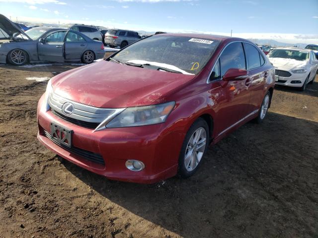 Photo 1 VIN: JTHBB1BA1A2035312 - LEXUS HS 250H 