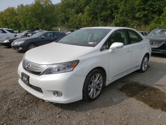 Photo 1 VIN: JTHBB1BA1A2037125 - LEXUS HS 250H 