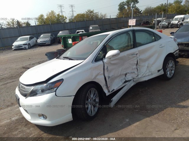 Photo 1 VIN: JTHBB1BA2A2006367 - LEXUS HS 250H 