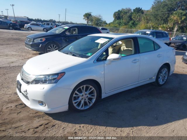 Photo 1 VIN: JTHBB1BA2C2051280 - LEXUS HS 250H 