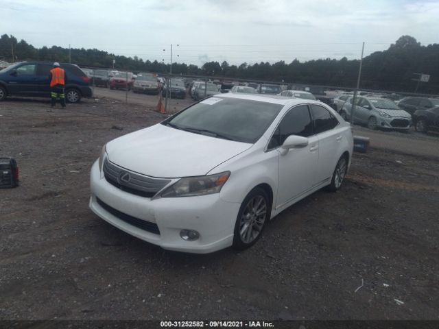 Photo 1 VIN: JTHBB1BA3A2002084 - LEXUS HS 250H 