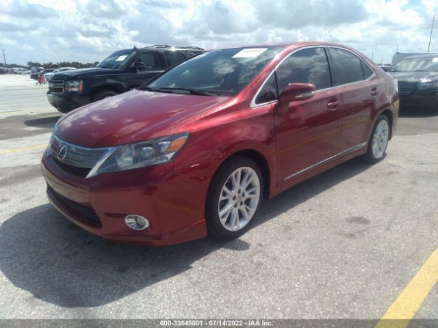 Photo 1 VIN: JTHBB1BA3A2002229 - LEXUS HS 250H 