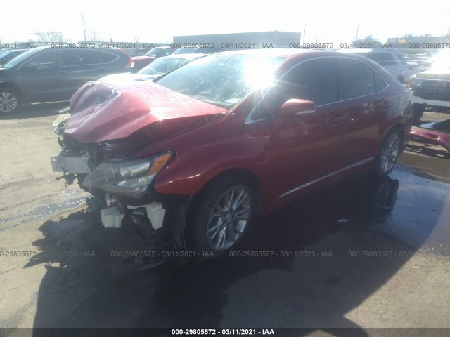 Photo 1 VIN: JTHBB1BA3A2004207 - LEXUS HS 250H 