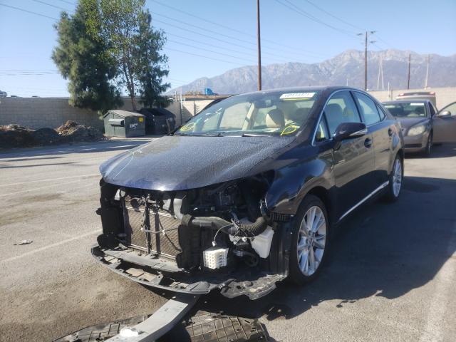 Photo 1 VIN: JTHBB1BA3A2028278 - LEXUS HS 250H 