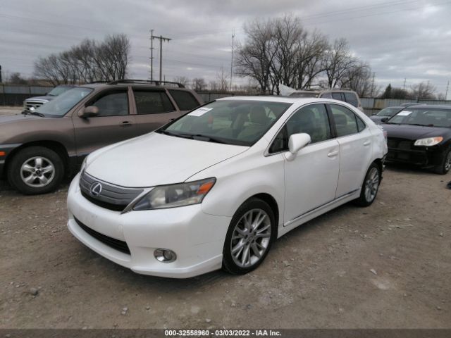 Photo 1 VIN: JTHBB1BA4A2023736 - LEXUS HS 250H 