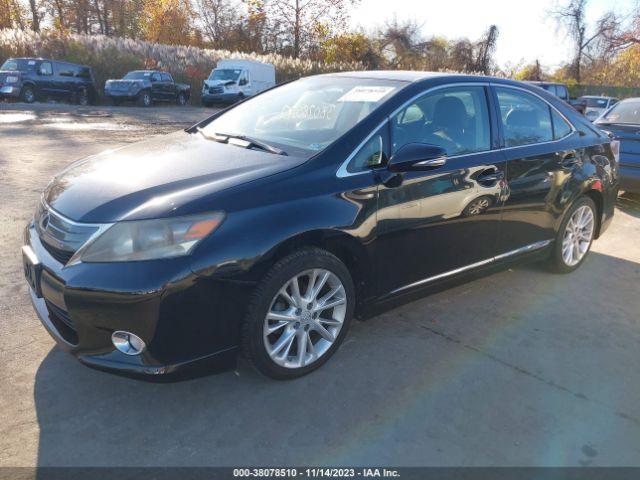 Photo 1 VIN: JTHBB1BA6A2002905 - LEXUS HS 250H 