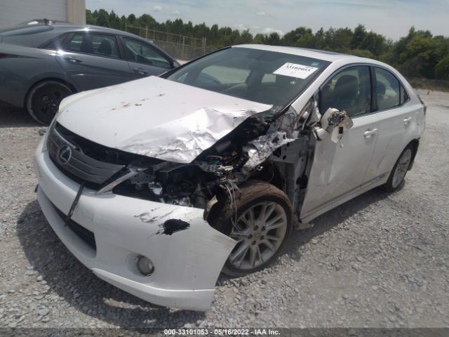 Photo 1 VIN: JTHBB1BA6A2005500 - LEXUS HS 250H 