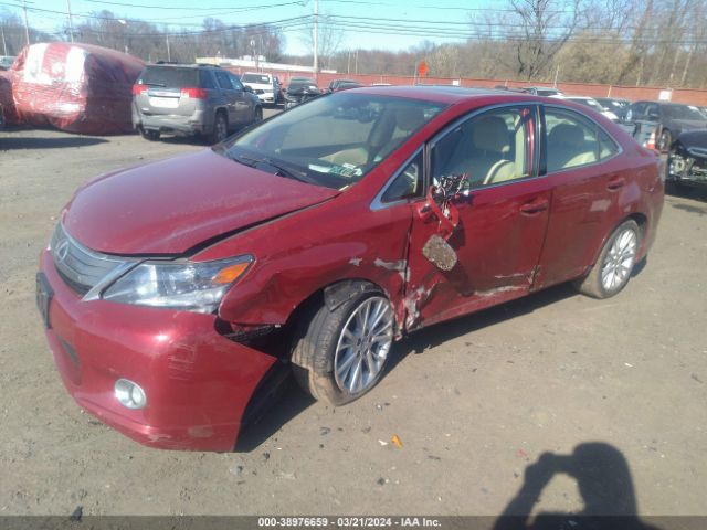 Photo 1 VIN: JTHBB1BA6A2009420 - LEXUS HS 250H 