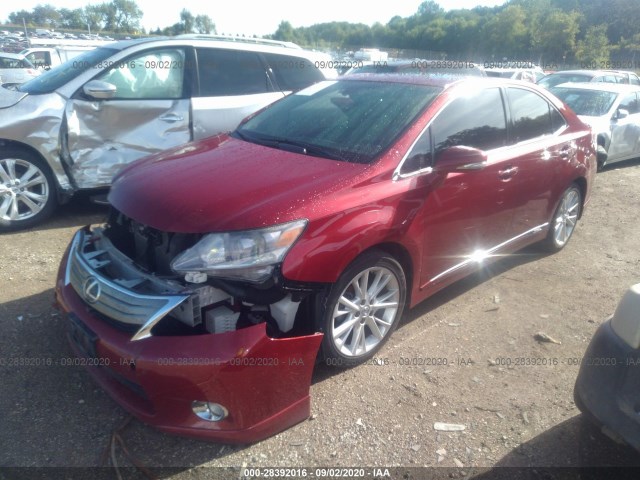 Photo 1 VIN: JTHBB1BA6A2021552 - LEXUS HS 250H 