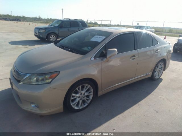 Photo 1 VIN: JTHBB1BA6A2023284 - LEXUS HS 250H 