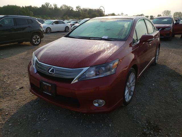 Photo 1 VIN: JTHBB1BA8A2002050 - LEXUS HS 250H 