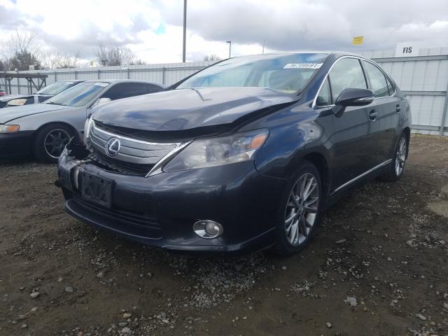 Photo 1 VIN: JTHBB1BA8A2004705 - LEXUS HS 250H 