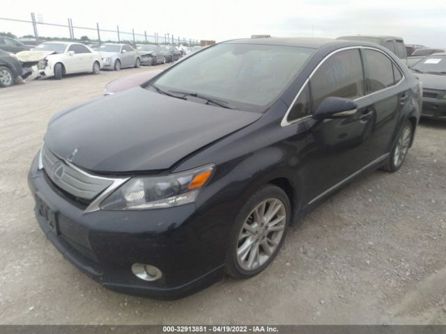 Photo 1 VIN: JTHBB1BA8A2006910 - LEXUS HS 250H 