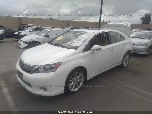 Photo 1 VIN: JTHBB1BA8A2013677 - LEXUS HS 250H 