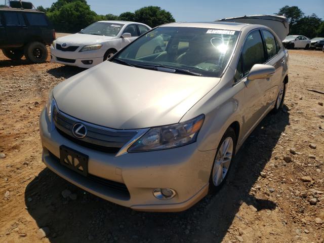 Photo 1 VIN: JTHBB1BA8C2048870 - LEXUS HS 250H 